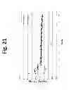 Fig. 22 - LAYER-LAYER LITHIUM RICH COMPLEX METAL OXIDES WITH HIGH SPECIFIC CAPACITY AND EXCELLENT CYCLING