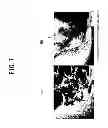 Fig. 09 - Si/C COMPOSITE MATERIAL, METHOD FOR MANUFACTURING THE SAME, AND ELECTRODE