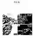 Fig. 22 - Si/C COMPOSITE MATERIAL, METHOD FOR MANUFACTURING THE SAME, AND ELECTRODE