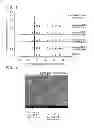 Fig. 02 - Scheelite-structured composite metal oxide with oxygen ionic conductivity