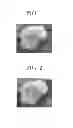 Fig. 02 - Electrostatic charge image developing toner