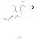Fig. 71 - Methods and compositions for inhibiting undesired cleaving of labels