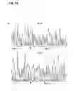 Fig. 06 - COMPOSITIONS, METHODS AND KITS TO DETECT DICER GENE MUTATIONS