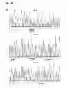 Fig. 07 - COMPOSITIONS, METHODS AND KITS TO DETECT DICER GENE MUTATIONS