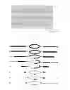 Fig. 02 - DNA fragment detection method, DNA fragment detection kit and the use thereof