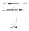 Fig. 02 - Human keratinocytes PTCH1 cell line