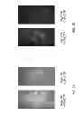 Fig. 05 - Nucleotide transient binding for sequencing methods