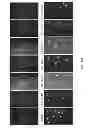 Fig. 24 - Nucleotide transient binding for sequencing methods