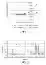 Fig. 02 - Immunoassay methods