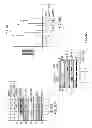 Fig. 35 - Target of the phosphoinositide 3-kinase pathway