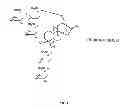 Fig. 02 - Method and system for detection of natural high intensity sweeteners that contain hydroxyl groups