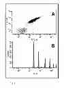 Fig. 02 - METHOD FOR DETECTING A BETA-SPECIFIC ANTIBODIES IN A BIOLOGICAL SAMPLE