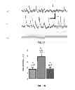 Fig. 02 - Use of photocleavable compounds