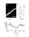 Fig. 06 - Use of photocleavable compounds