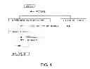 Fig. 02 - Fructosyl peptide oxidase