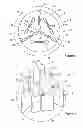 Fig. 02 - GROWING ORGANISMS