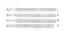 Fig. 02 - Method for secretory production of protein