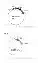 Fig. 02 - Production method for organic acid using CoA-transferase