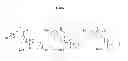 Fig. 02 - Benzamide compounds and related methods of use