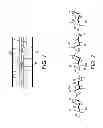 Fig. 02 - Treatment of Lignocellulosic Material