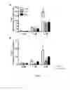 Fig. 06 - Methods and compositions for mesenchymal stem cell proliferation
