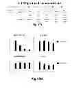 Fig. 02 - EFFICIENT INDUCTION OF DEFINITIVE ENDODERM FROM PLURIPOTENT STEM CELLS