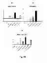 Fig. 06 - EFFICIENT INDUCTION OF DEFINITIVE ENDODERM FROM PLURIPOTENT STEM CELLS