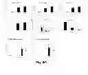 Fig. 07 - EFFICIENT INDUCTION OF DEFINITIVE ENDODERM FROM PLURIPOTENT STEM CELLS