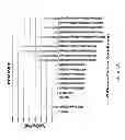Fig. 02 - Methods and formulations for orthopedic cell therapy