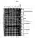 Fig. 03 - Induction of hemogenic endothelium from pluripotent stem cells