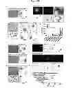 Fig. 05 - Induction of hemogenic endothelium from pluripotent stem cells