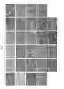 Fig. 09 - Induction of hemogenic endothelium from pluripotent stem cells
