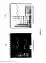 Fig. 06 - Rapid Protein Labeling and Analysis