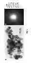 Fig. 08 - METHOD FOR PRODUCING METALLIC NANOPARTICLES FUNCTIONALIZED WITH FLUORESCENT ORGANIC MOLECULES