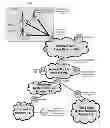 Fig. 01 - Determining telecommunication subscriber metrics