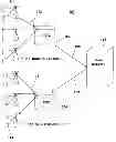 Fig. 01 - System of edge byte caching for cellular networks