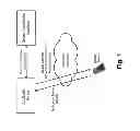 Fig. 02 - Application server awareness of device capabilities in a wireless network