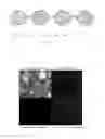 Fig. 02 - Supported bimetallic nanocomposite catalyst and the preparation method thereof