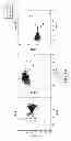 Fig. 07 - METHODS AND PROCESSES FOR NON INVASIVE ASSESSMENT OF A GENETIC VARIATION
