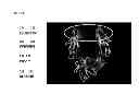 Fig. 31 - IMMUNOGLOBULIN FC POLYPEPTIDES
