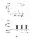 Fig. 08 - Methods for detection of botulinum neurotoxin