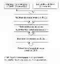 Fig. 01 - PREDICTION METHOD OF GLOMERULAR FILTRATION RATE FROM URINE SAMPLES AFTER KIDNEY TRANSPLANTATION