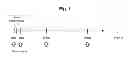 Fig. 02 - PREDICTION METHOD OF GLOMERULAR FILTRATION RATE FROM URINE SAMPLES AFTER KIDNEY TRANSPLANTATION