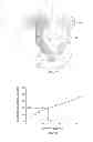 Fig. 02 - Microfluidic interface for highly parallel addressing of sensing arrays