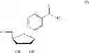 Fig. 06 - INHIBITING GS-FDH TO MODULATE NO BIOACTIVITY