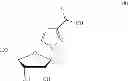 Fig. 09 - INHIBITING GS-FDH TO MODULATE NO BIOACTIVITY