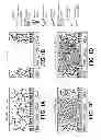 Fig. 02 - OPHTHALMIC FORMULATION DERIVED FROM SILK PROTEIN