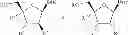 Fig. 02 - 2′,4′-substituted nucleosides as antiviral agents