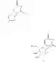 Fig. 100 - 2′,4′-substituted nucleosides as antiviral agents
