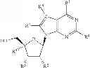 Fig. 124 - 2′,4′-substituted nucleosides as antiviral agents